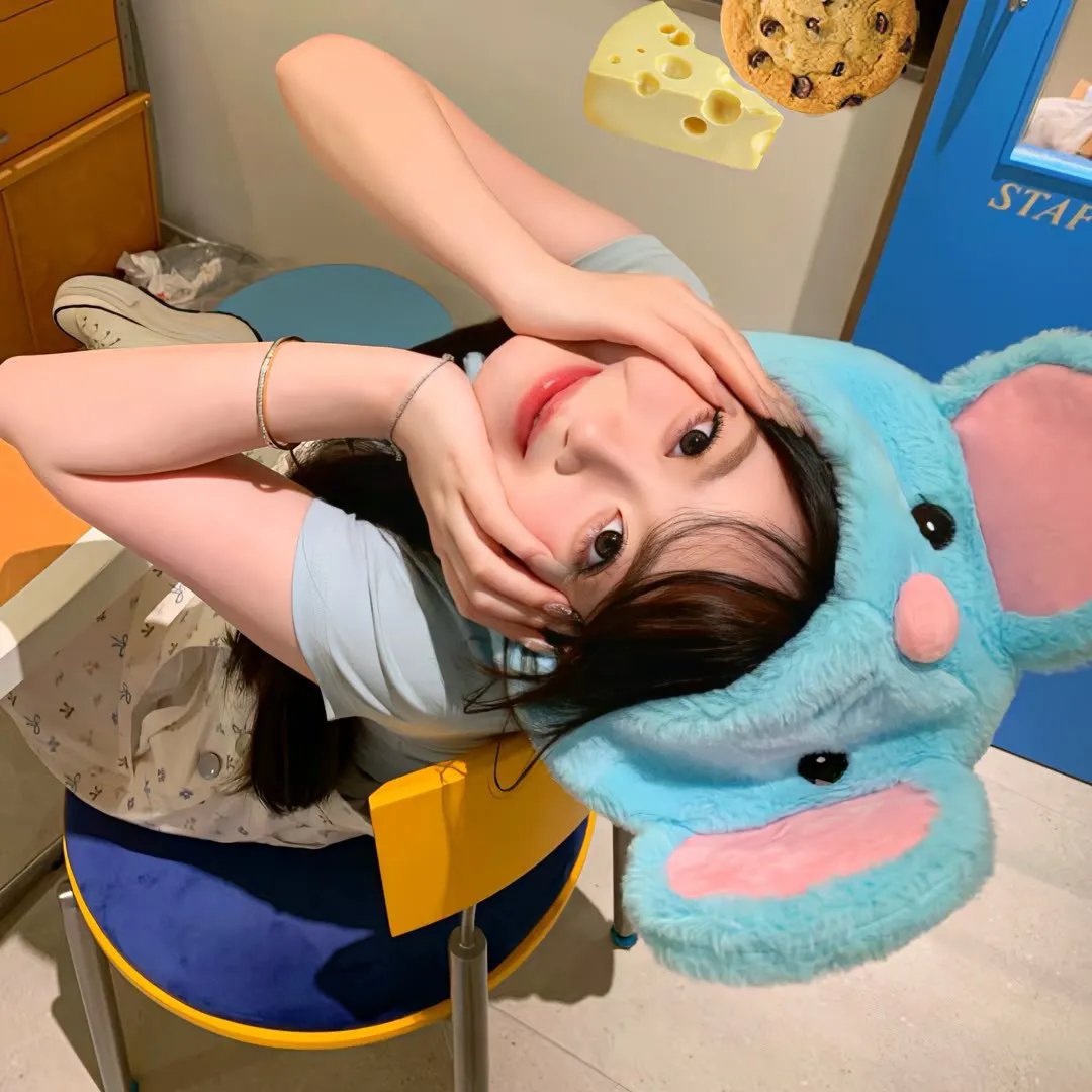 六姊妹